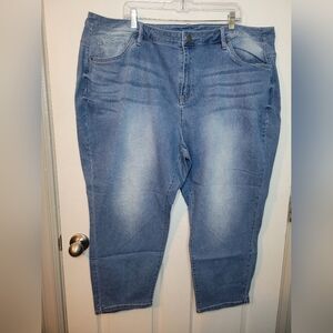 Lane Bryant Jeans 28 Womans Plus Light Wash Button Zipper Pockets